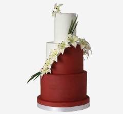 Düğün & Nişan Pastası