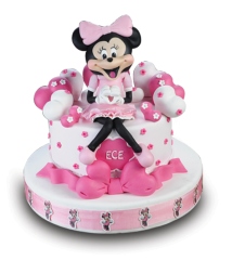 Minnie Mouse Butik Doğum Günü Pastası Kutlama 71