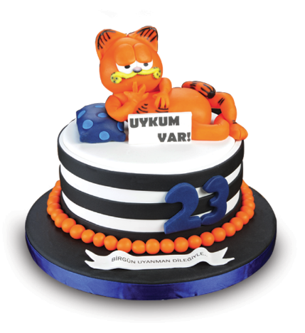 Garfield Doğum Günü Butik Pastası