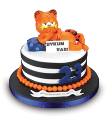 Garfield Doğum Günü Butik Pastası