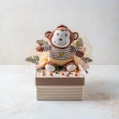 Tasarım Bebek Kutusu 1