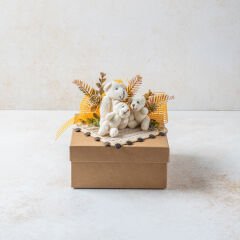 Tasarım Bebek Kutusu 3