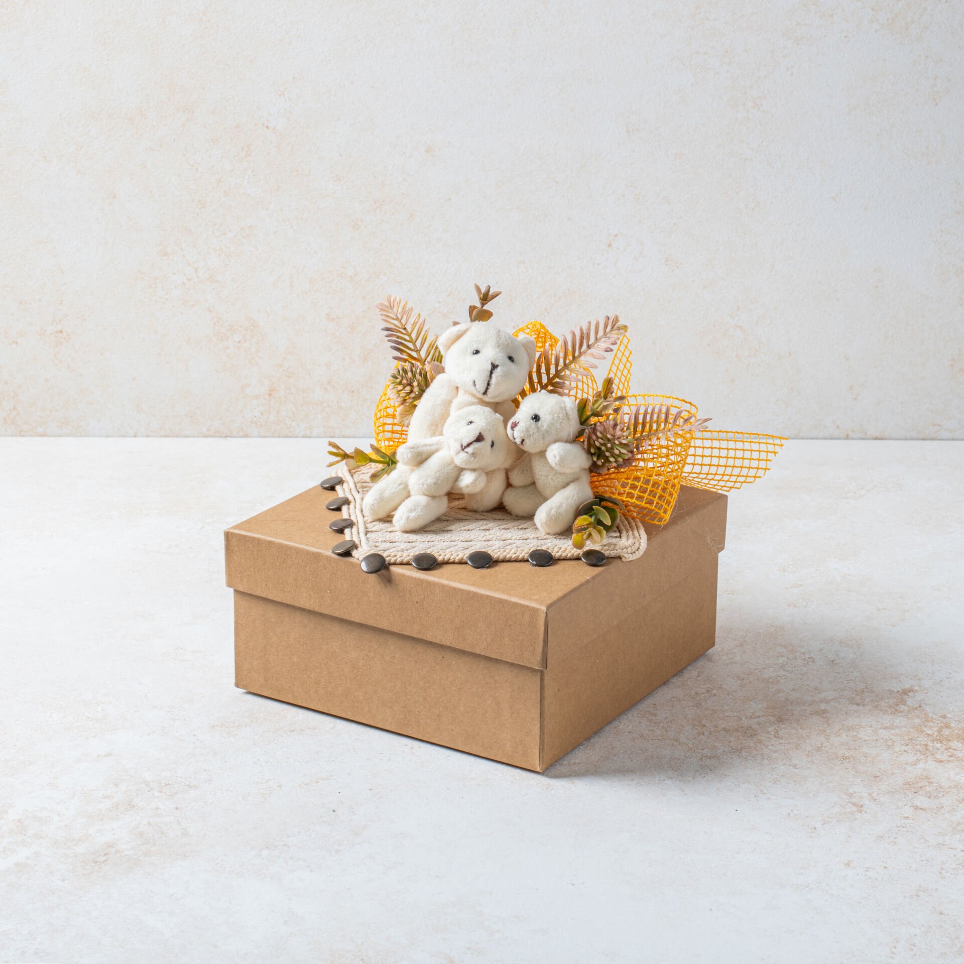 Tasarım Bebek Kutusu 3