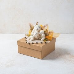 Tasarım Bebek Kutusu 3