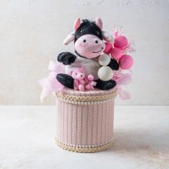 Tasarım Kız Bebek Kutusu 1