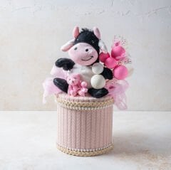 Tasarım Kız Bebek Kutusu 1