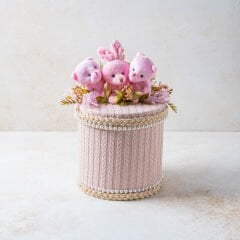 Tasarım Kız Bebek Kutusu 3