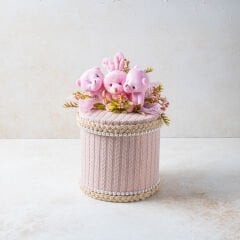 Tasarım Kız Bebek Kutusu 3