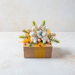 Erkek Bebek Tasarım Kutusu 2