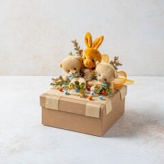 Erkek Bebek Tasarım Kutusu 3