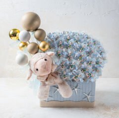 Erkek Bebek Çikolatası 18