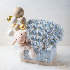 Erkek Bebek Çikolatası 18